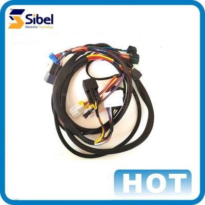 Customized Passenger Car/Vehicle Door Wire Harness