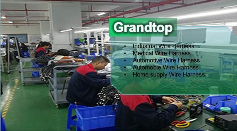 Automotive Cable Assembly for Electric Car Wire Harness