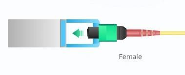 Customized 20/24 Fiber MTP OS2 Single Mode Patch Cord Fiber Pigtail Breakout Cable
