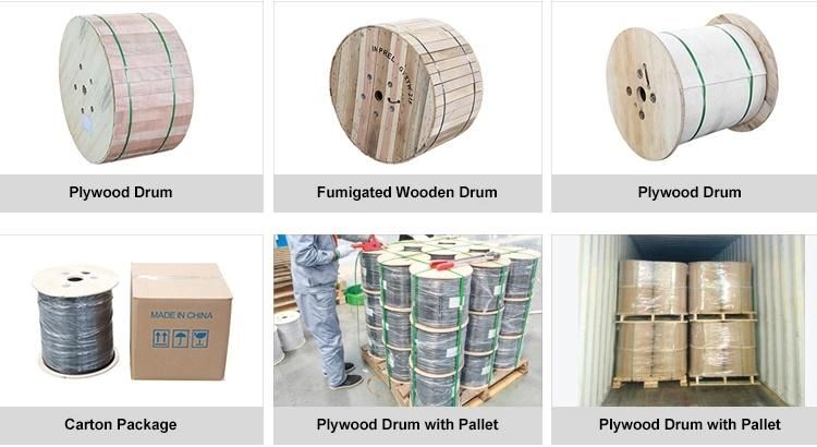 Communication Single/Multi Mode Outdoor Armored/Amoured Duct Fiber Optic/Optical GYXTW Cable