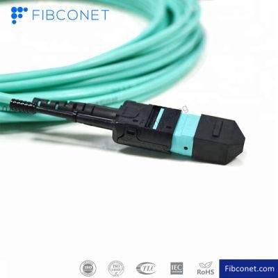 FTTH Single Mode 9/125 Simplex 2/4/8/16/24/48 Core MPO MTP Fiber Optic Patch Cord/Fiber Jumper/Patch Cable Cord for 40g/100g