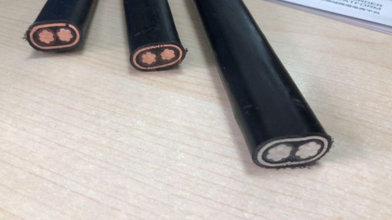 0.6/1kv 8/2, 6/3 Concentric Cable