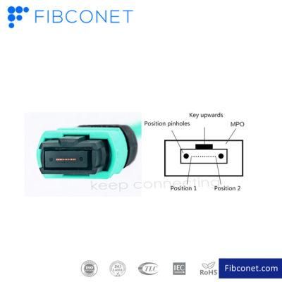 FTTH MPO Patch Cable Connector Fiber Optic Patch Cord Fiber Multimode Cable