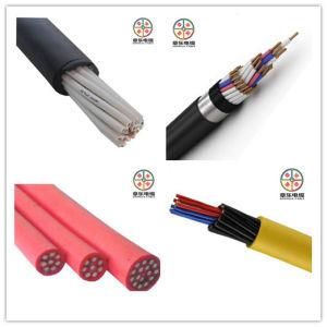PVC Insulated Monitor Cable From China Provider 450/750V -27*2.5mm2