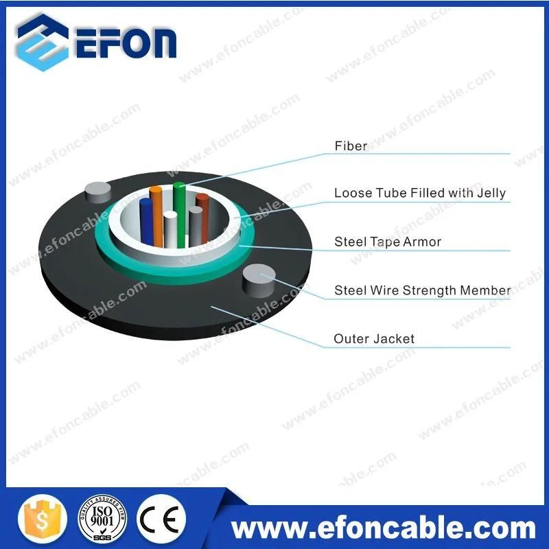 Duct Single/Multi Mold Outdoor Armored/Amoured Aerial Fiber Optic/Optical Cable (GYXTW)