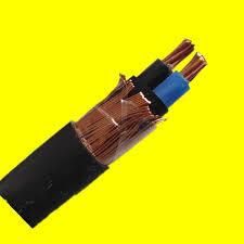 Two Cores Concentric Conductor Power Cables