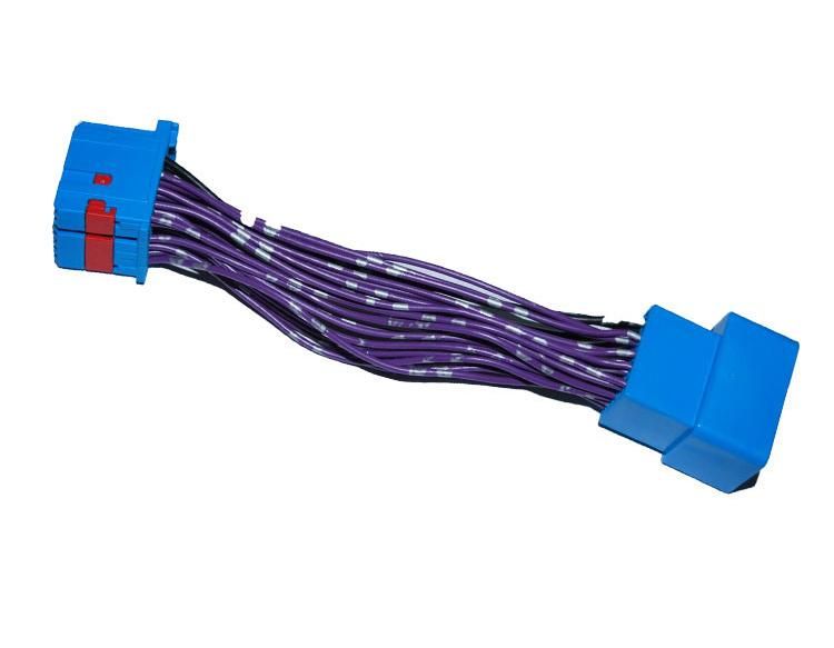 Te 2098067-2 Blue Color Female Connector for Cherolet Wire Harness