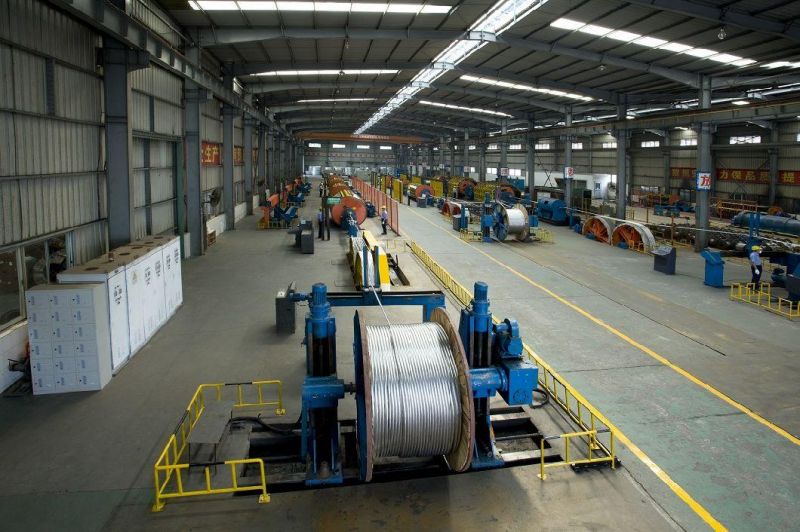 BS En 50182 Overhead Transmission Line ACSR Conductor for Factory Price
