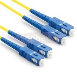 Sc/APC/Upc Singlemode Multimode Simplex Duplex Fiber Optic Patch Cord