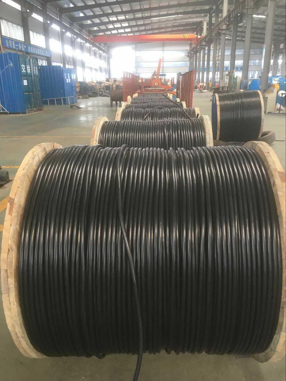 600/1000V 1*120mm2 Single Core Copper XLPE/PVC Sheath Power Cable