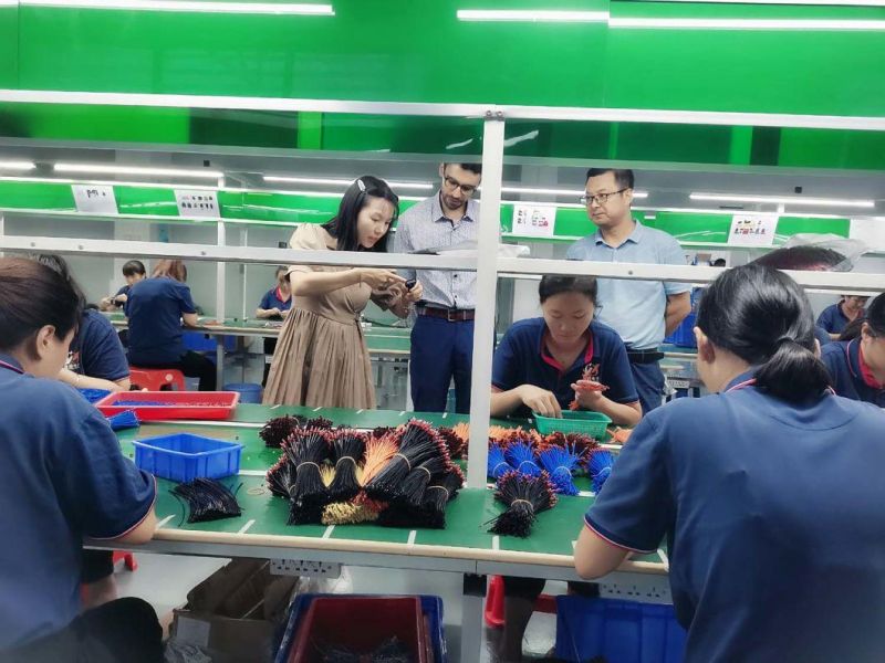 Custom Automotive Corrugated Pipe Wire Harness Factory with Original Jst Te and Molex Connector