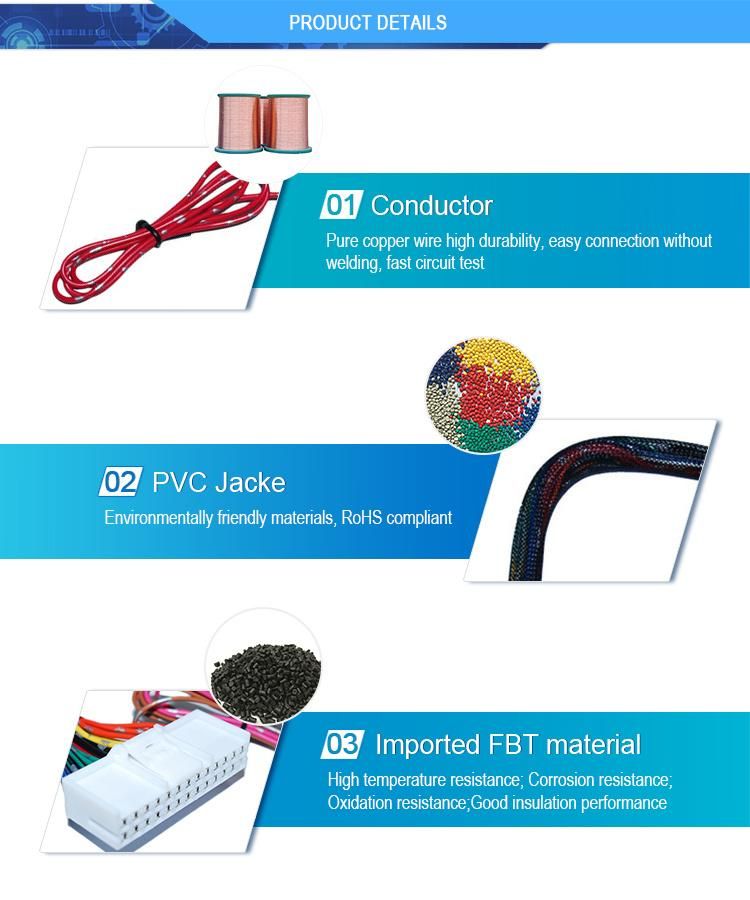 Tyco Male to Female Custom Wiring Harness 10pin