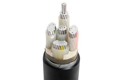 XLPE Insulated Armoured Power Cable Yjv22 Yjlv22