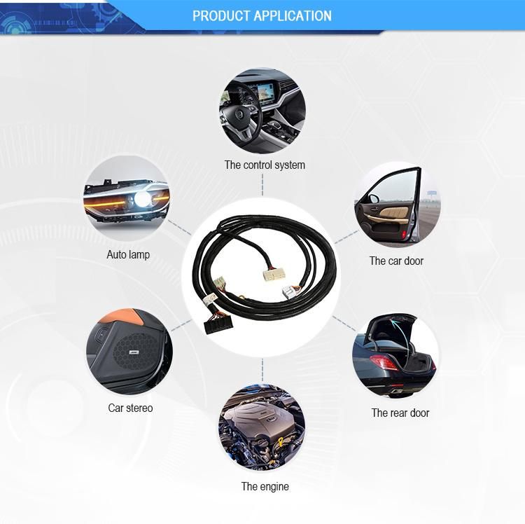 Youye Automotive Right Door Controller Wire Harness Custom Car Doors Wiring Harness Cable Assembly