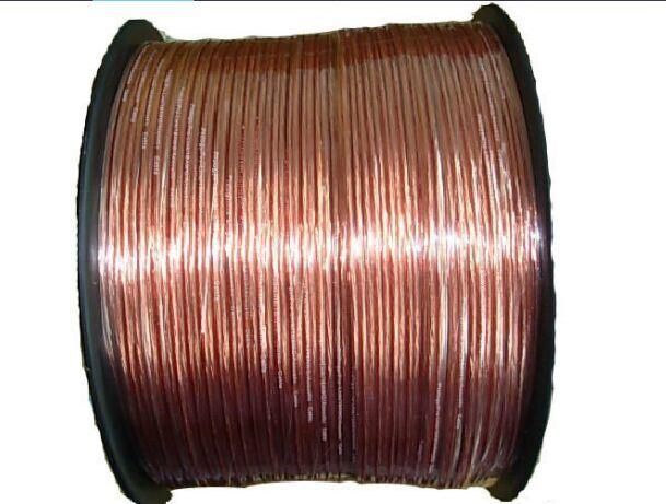 Transparent Speaker Cable