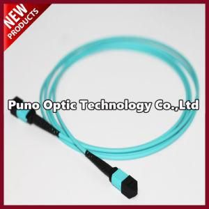 MPO Female to MPO Female 12 Cores Multi-mode Trunk Cable