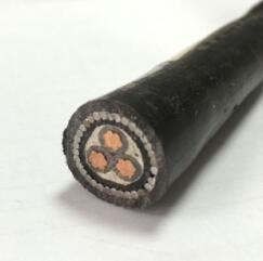 0.6/1kv XLPE Insulated Copper Cable 3X10mm2