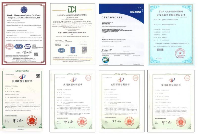 Customized/Custom Automotive Cable Harness/Wire/Cable//Electric Wire/Wiring Harness/Wire Harness