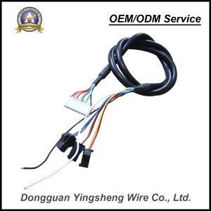 Customize Different Kinds of Wire with Connector