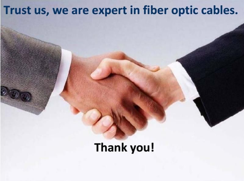 Non-Metallic Aerial Fiber Optical Cable GYFTY