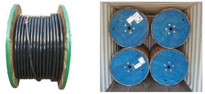 N2xsy XLPE PVC-6/10 (12) Kv Cable BS 6622 En/IEC 60228