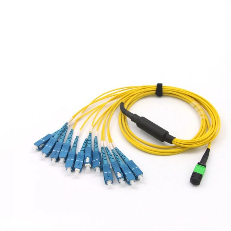 MPO (F) - Sc OS2 12 Core Fibre Optic Fanouts Assemblies with 5m