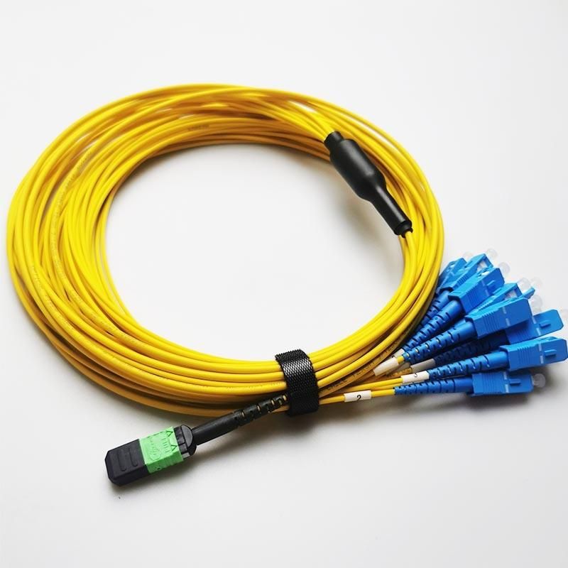 Singlede Mulitmode Om3 Om4 12 24 Fiber MTP MPO to LC Fanout or Break out LSZH Ofnp Ofnr Cable Patch Mo Cord for Sale