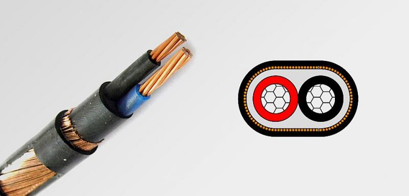 AWG Size Service Entrance Cable Ser Seu Copper Conductor 2 Core Concentric Cable
