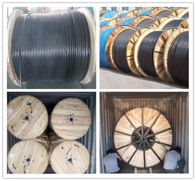 Customized Flat Electric Wires Multi-Core 2.5mm Twin Cable 3 Core PVC Coated Cables Flexible Wire