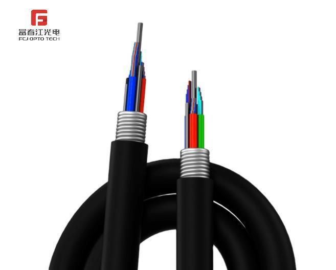 240 Core Fiber Ribbon Cable Gydts HDPE Sheath