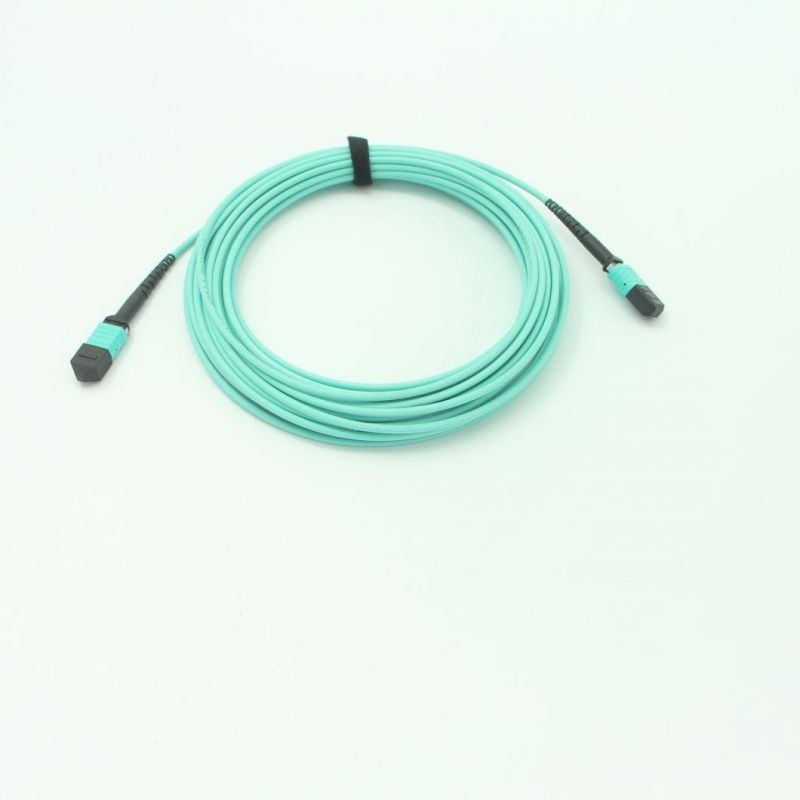 Shenzhen Manufacturer for MPO Fiber Optic Jumper