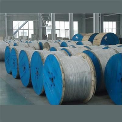 Bare AACSR Conductor (Aluminum Alloy Galvanized Steel Wire Stranded Conductor)