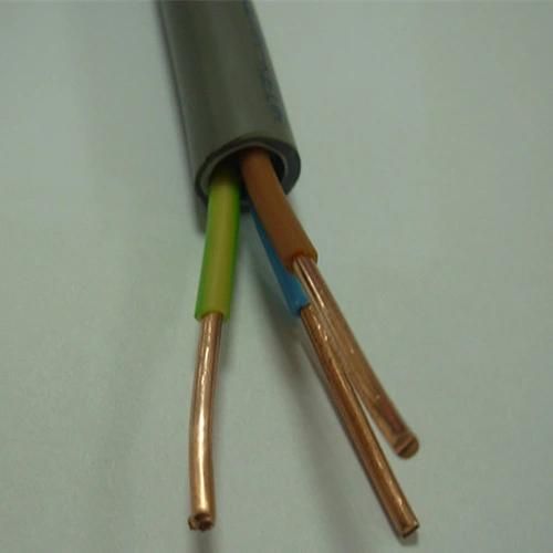 Two Core Round 450/750V House Wiring 4mm2 Copper Building Electric Wire