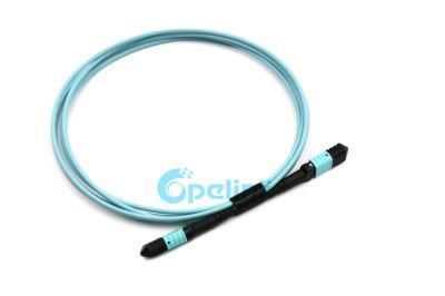 High-Density Om3 MPO-MPO Trunk Fiber Optic Patch Cord with High Quality