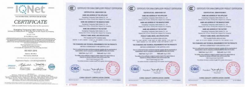 China Supplier of ACSR Electrical Cable with Simple Construction and Easy Installation