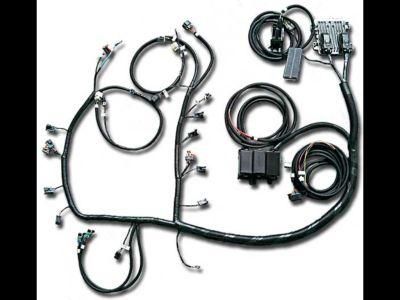 a Advance for GM Engine Ls1 Wiring Harness Custom 1999-02