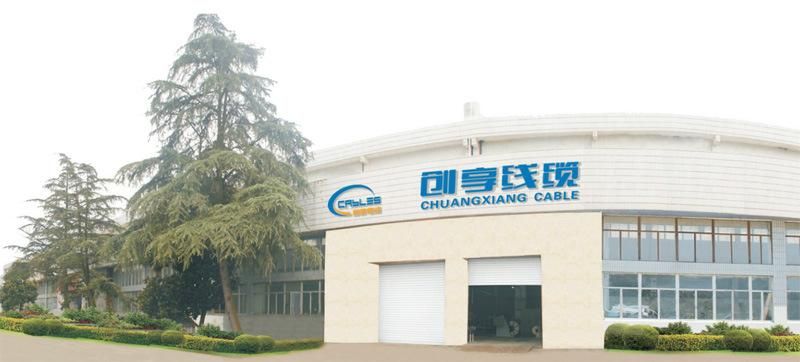 Network Cable/LAN Cable Outdoor UTP Cat5e Cable 24AWG, Copper Wire Data Cable Communication Cable Network Products PVC/LSZH
