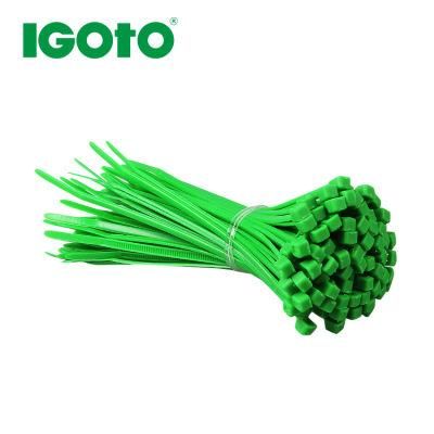 Free Sample 100mm 150mm 200mm 300mm 400mm 500mm 600mm 700mm 800mm 1000mm Length Zip Tie PA66 Self-Locking Cable Tie