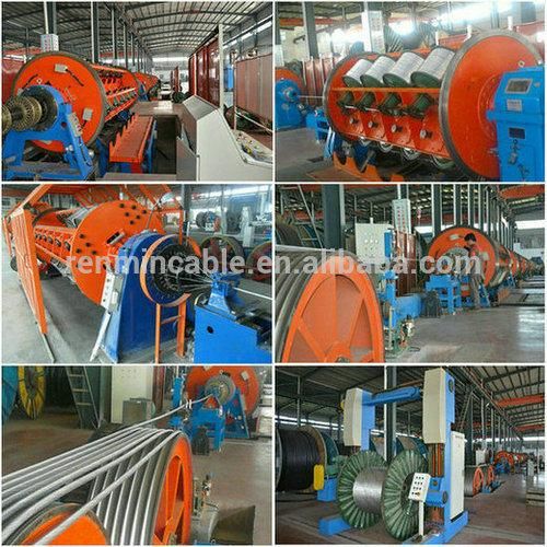 Aluminum Conductor Steel Reinforce ACSR Bare Conductor