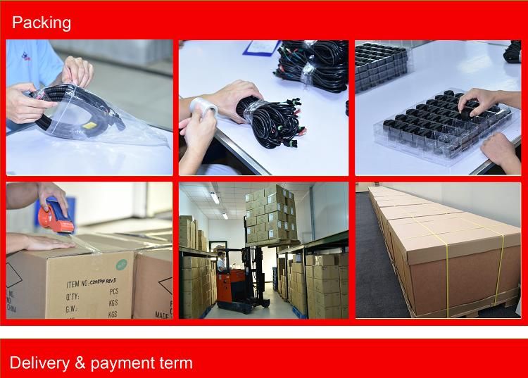 Waterproof connector Wiring Harness overmolding cable custom assembly Overmolded Cable Assemblies