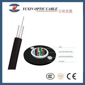 12 Core Outdoor Sm G652D Metal Free Loose Tube Cable
