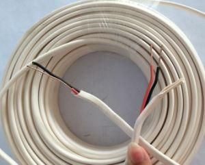 Rvv Red &amp; Black 2 Cores Electrical PVC Cable/Wire (RH002)