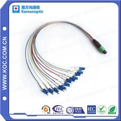 MPO-LC Optical Fiber Jumper