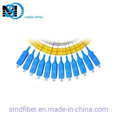 Sc/Upc Single Mode 12 Color Fiber Optic Pigtail 2.0 mm Fan out Fiber Cables