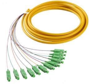 Sm LAN Optical Fiber Pigtail 12 Pack Sc / APC Low Insertion Loss