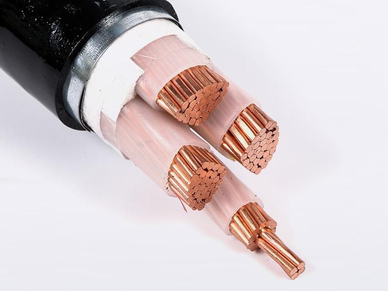 Hard Drawn Bare Copper Conductor Hdbc No. 2 No. 4 No. 6 No. 8 AWG Manufacturer Electric Wire Armoured Cable AWG 16 Awm 2733