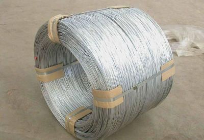 Galvanized Iron Wire for Hot Sale