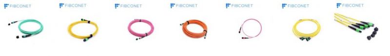 12/24/48f MPO (Female) 3.0mm LSZH Trunk Cable Fiber Patch Cable