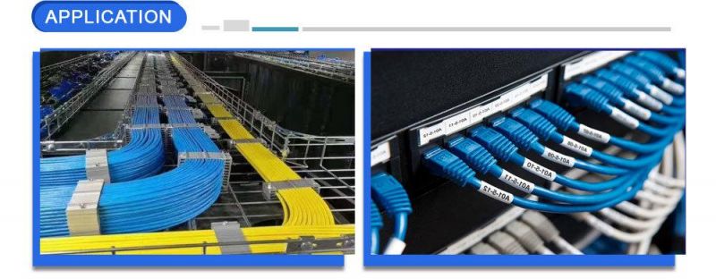 Low-Cost Networking UTP Cat5e CAT6 CAT6A LAN Cable for Data Ethernet ETL/UL/Cmx/Cm/Cmr Approved