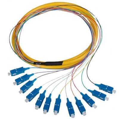 12 Core Sc Upc APC Fiber Optic Pigtail